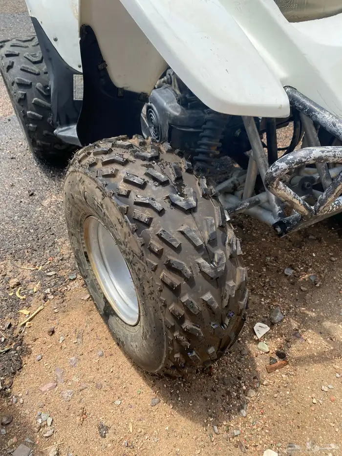 دبابين تايواني مقاس 100 3