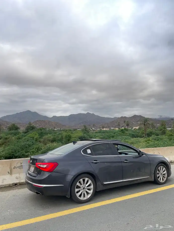 كادينزا 2014 2