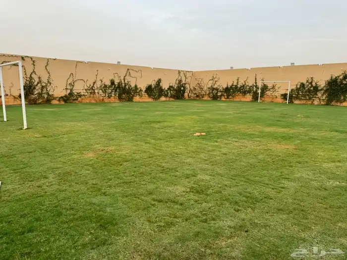 استراحة الدانة للالعاب 6