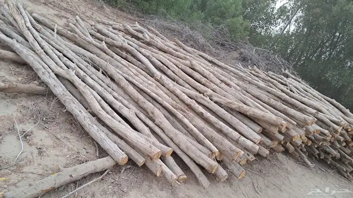 خشب بزرومي لشبوك الحلال ولتسوير المزارع متوفر جميع الأحجام. 3