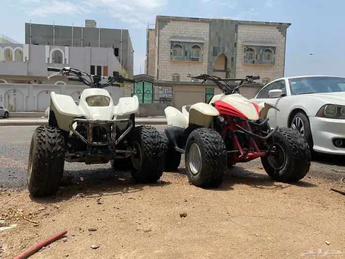 دبابين تايواني مقاس 100 0