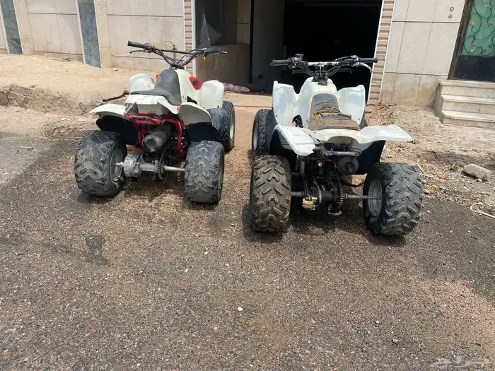 دبابين تايواني مقاس 100 4