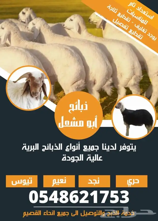 ذبايح الرس تيوس فاخرة 0