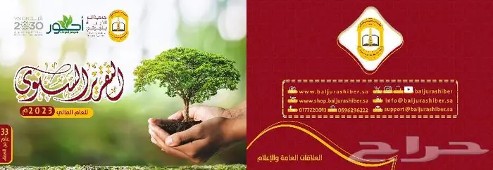 تصميم التقارير السنوية والكتيبات والشعارات والبرشورات 2