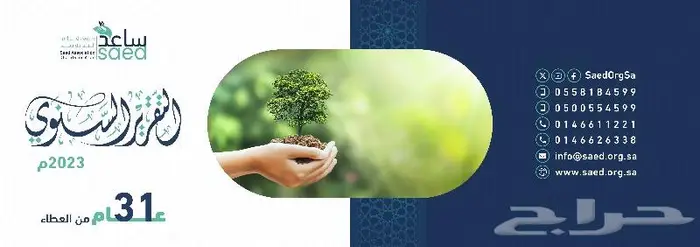 تصميم التقارير السنوية والكتيبات والشعارات والبرشورات 0
