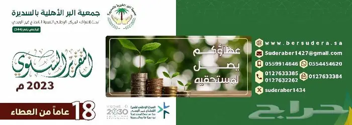 تصميم التقارير السنوية والكتيبات والشعارات والبرشورات 1