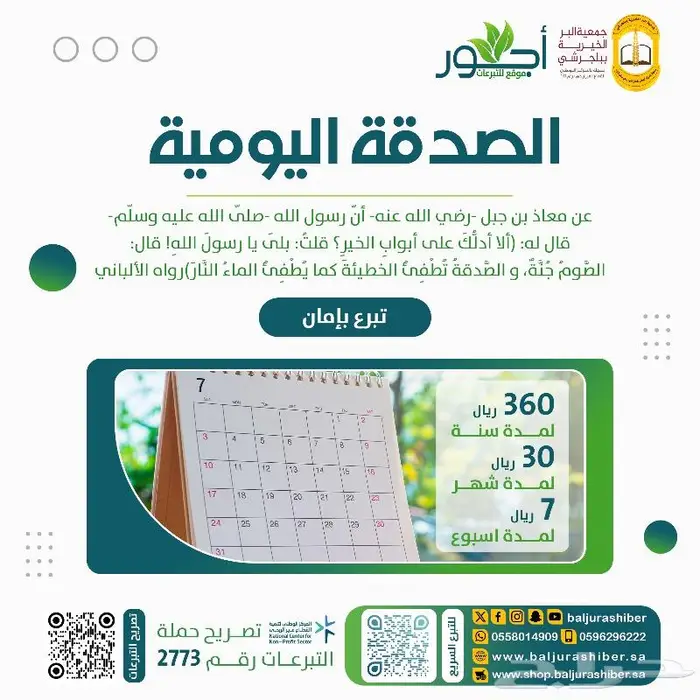 تصميم التقارير السنوية والكتيبات والشعارات والبرشورات 4