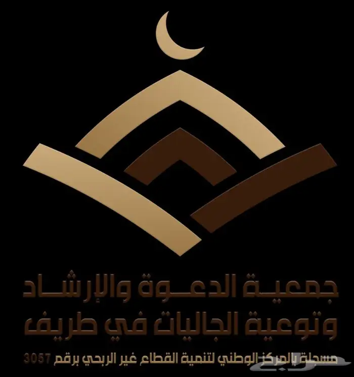 تصميم التقارير السنوية والكتيبات والشعارات والبرشورات 9