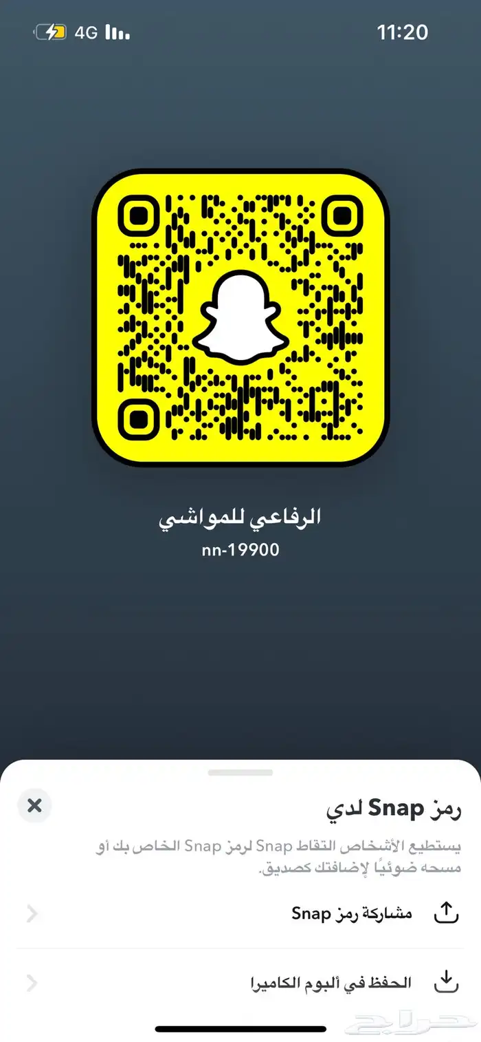 حري فاخر من مرابي الطايف 8