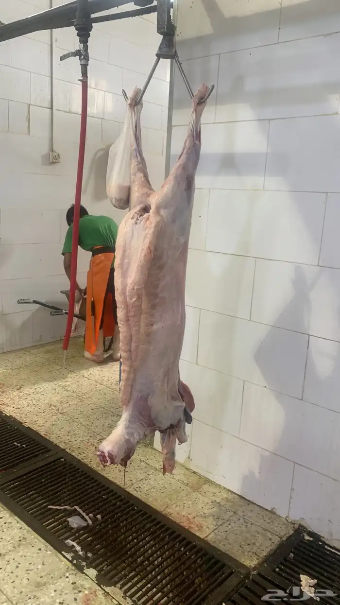 ذبيحتك مذبوحه ومغلفة وواصله لحد باب بيتك 2