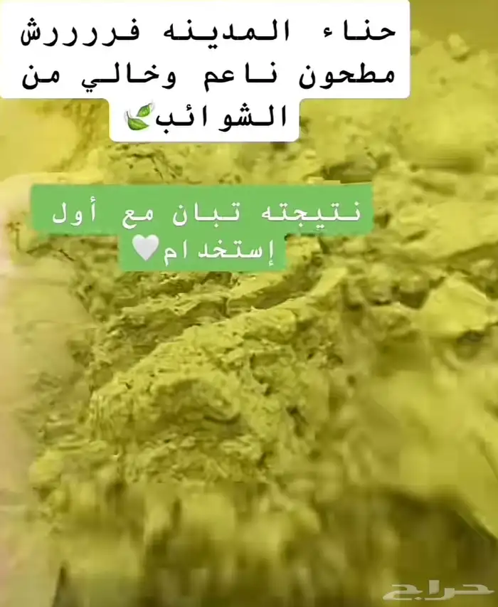 حنا المدينه أصلي 100 1
