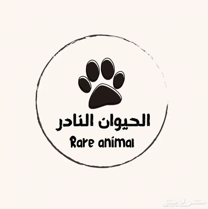 للبيع اقفاص ببغاوات كبيره جديدة 2