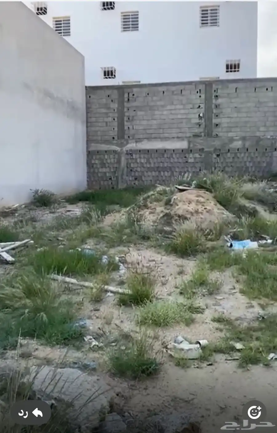 ارض للبيع في مدينه سلطان المحاله 0