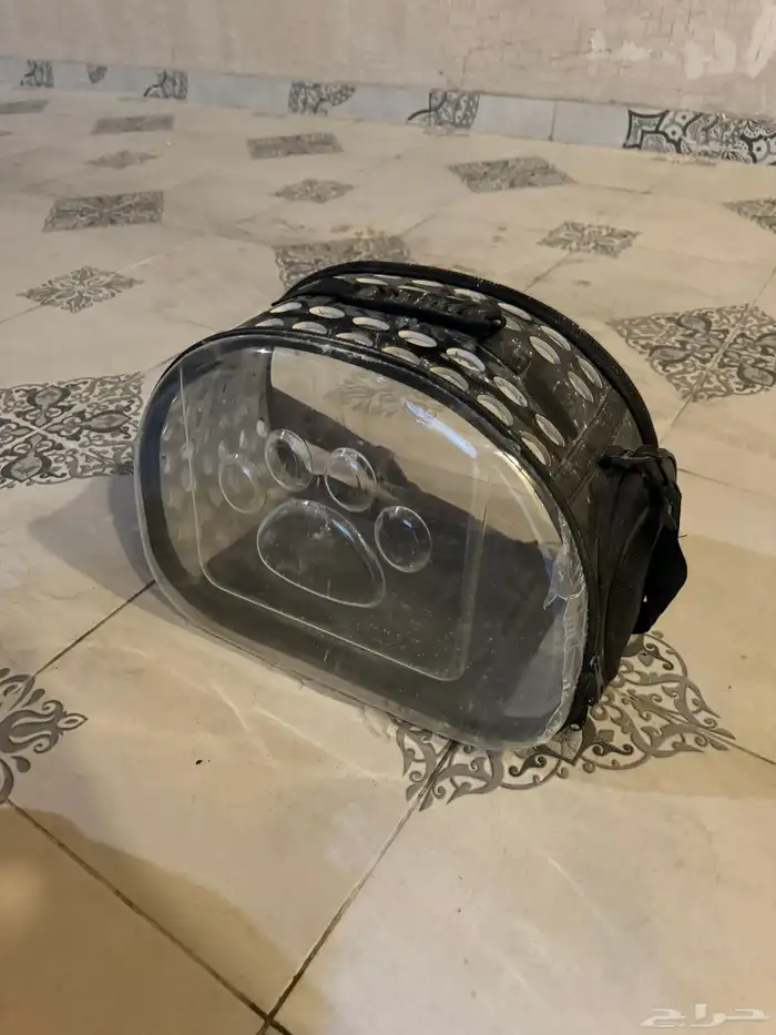 بيت قطط 2