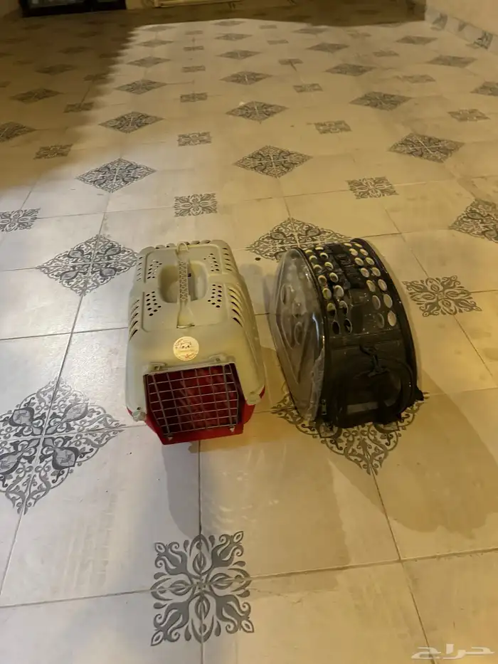 بيت قطط 0