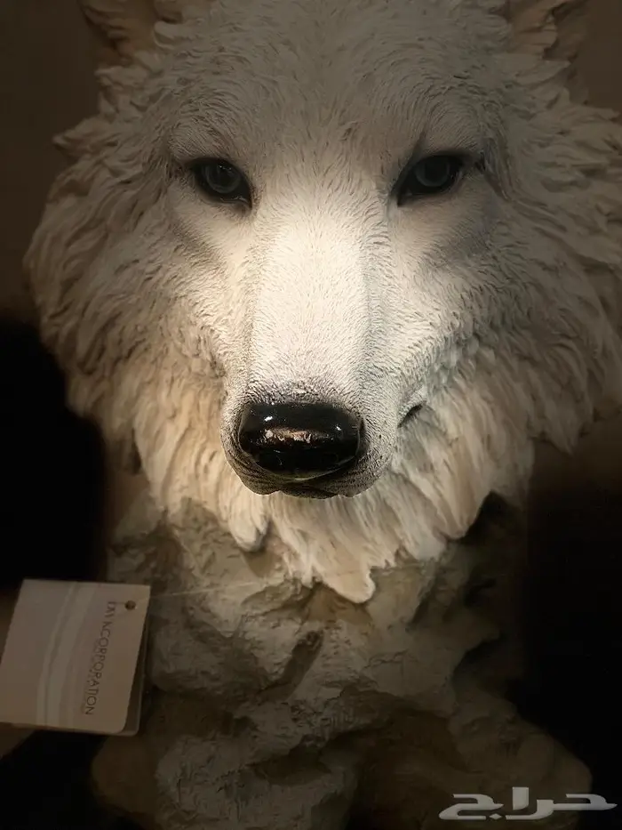 مجسم وجه ثعلب وطائر 4