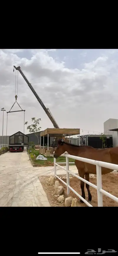 Crane for daily and monthly rent throughout Riyadh 7