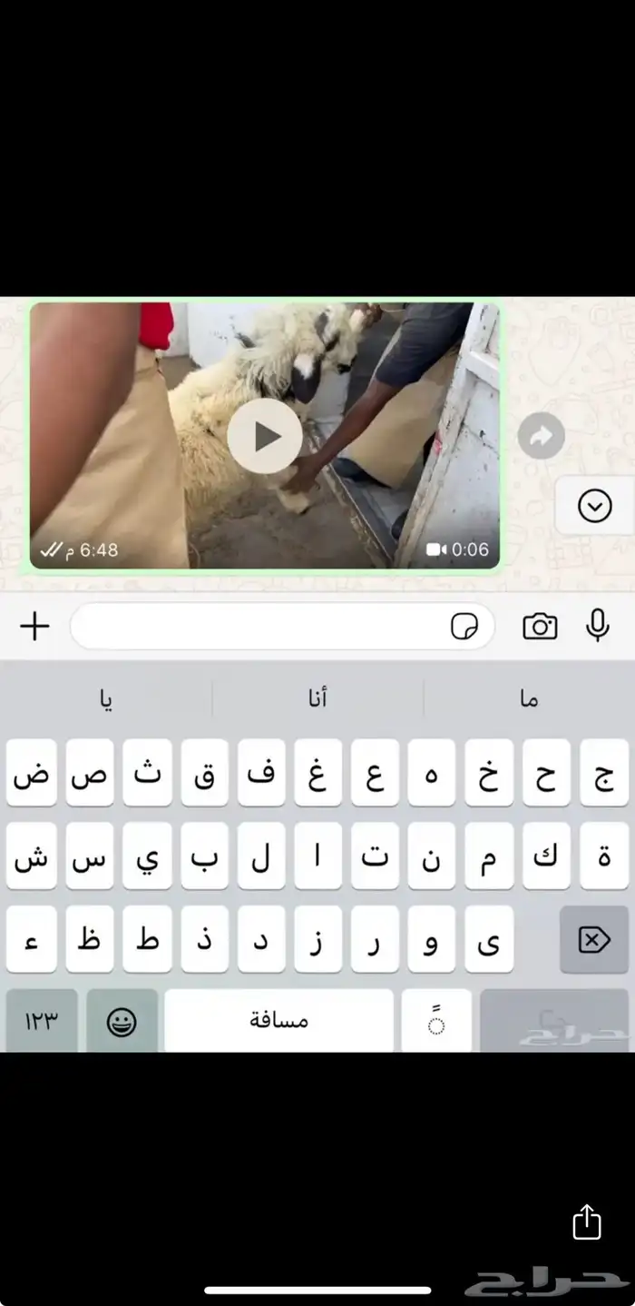 تيوس طليان 5