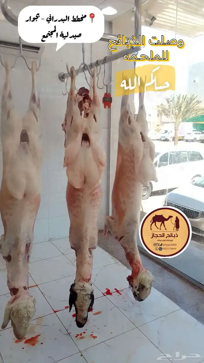 ملحمة ذبائح الحجاز-مخطط البدراني-بجوار صيدلية المجتمع 19