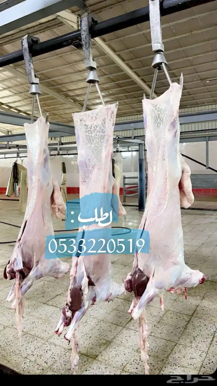 ذبايح نعيمي مفطح ثلاجه شامل ذبح توصيل 2