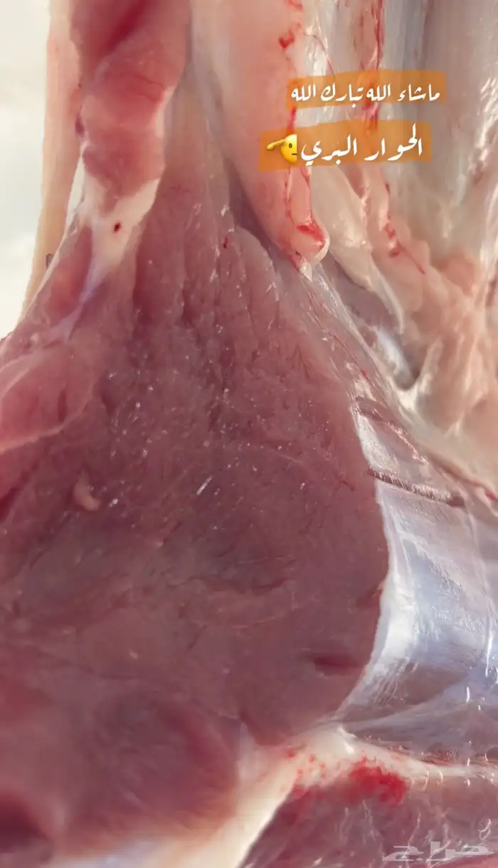 ملحمة ذبائح الحجاز-مخطط البدراني-بجوار صيدلية المجتمع 35