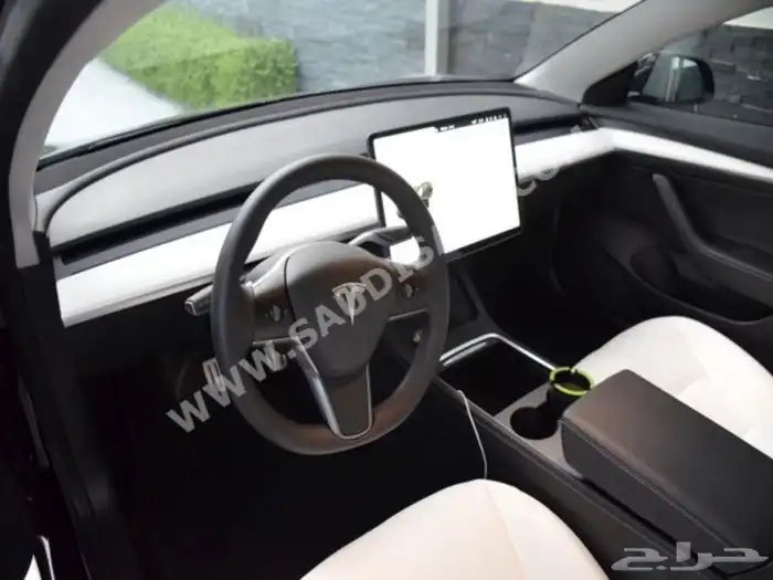 Tesla Model 3 0