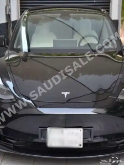 Tesla Model 3 1