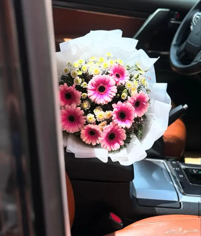 تنسيق ورود بخصم  15 26