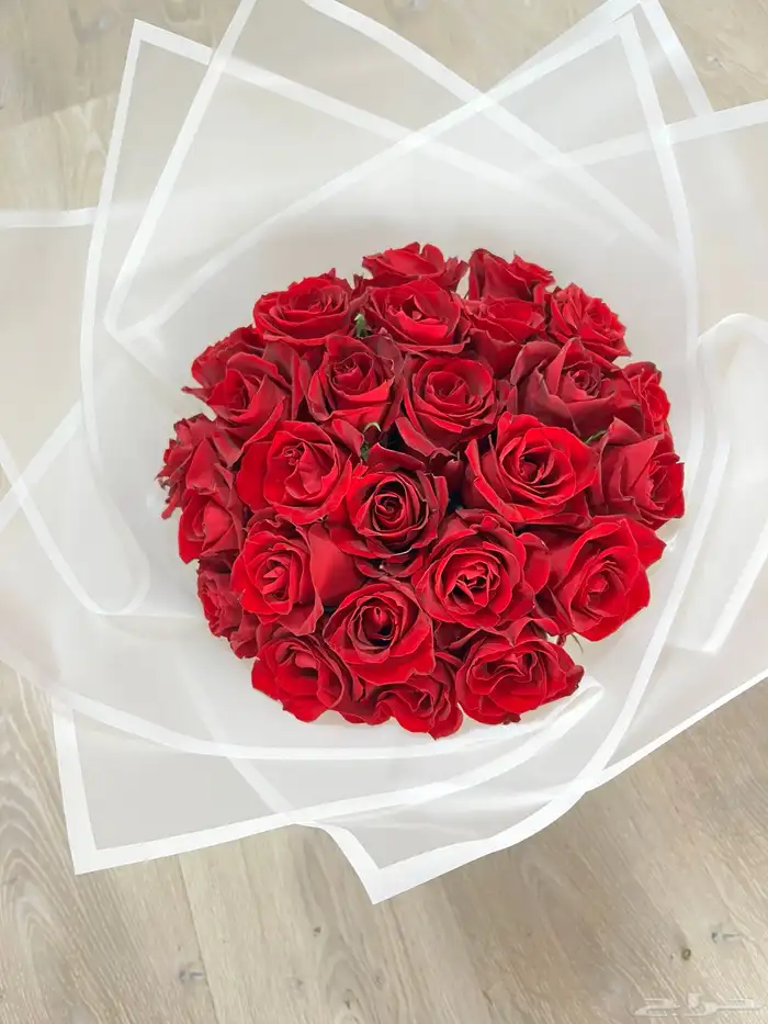 تنسيق ورود بخصم  15 6