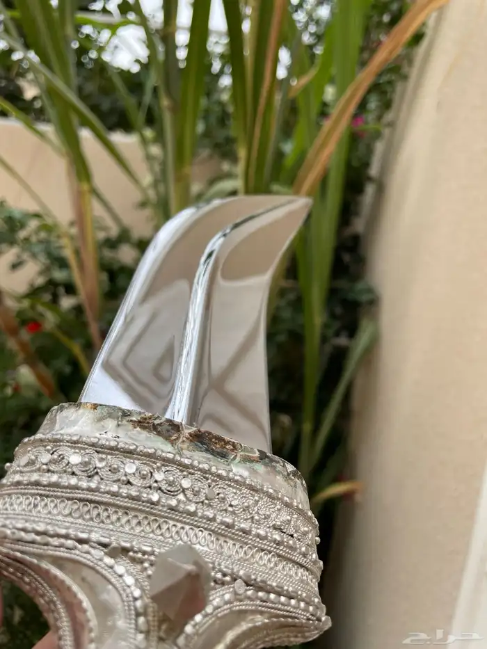 خنجر فضه هدهد سبأ من أندر النوادر 2