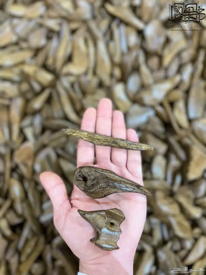 عود مروكي ملكي طبيعي محسن فاخر 1