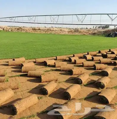 ثيل طبيعي زراعة تنسيق اشجار و زهور 1