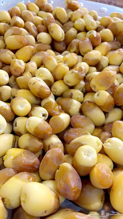 فسائل نخل اخلاص فاخر 5