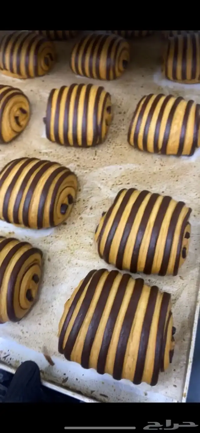 شيف وجبات السريعه وبيكري وادارة المطعم يبحث عن العمل 62