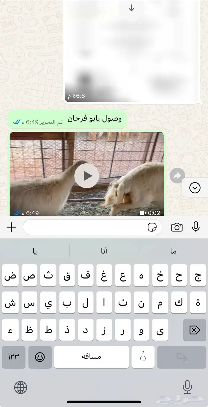 ذبايح تيوس طليان 7