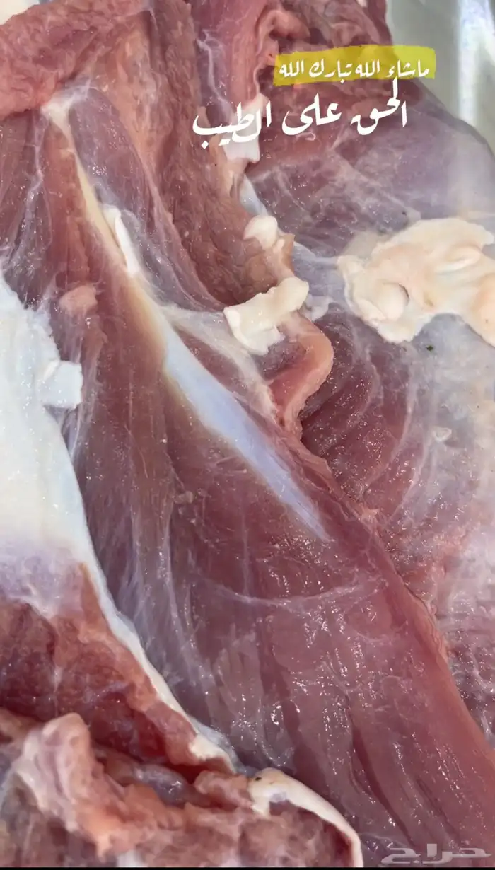 ملحمة ذبائح الحجاز-مخطط البدراني-بجوار صيدلية المجتمع 4