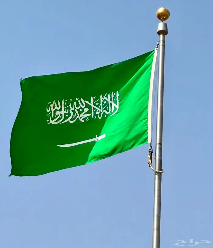 اعلام السعودية خارجية معتمده 9