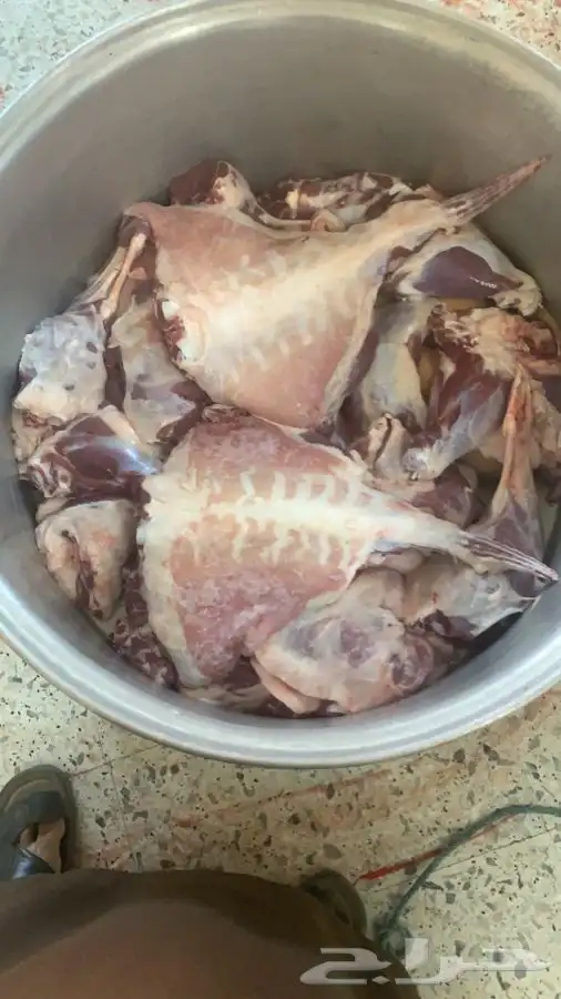 ذبايح مزرعة مرابي عسير للذبح والتوصيل 1
