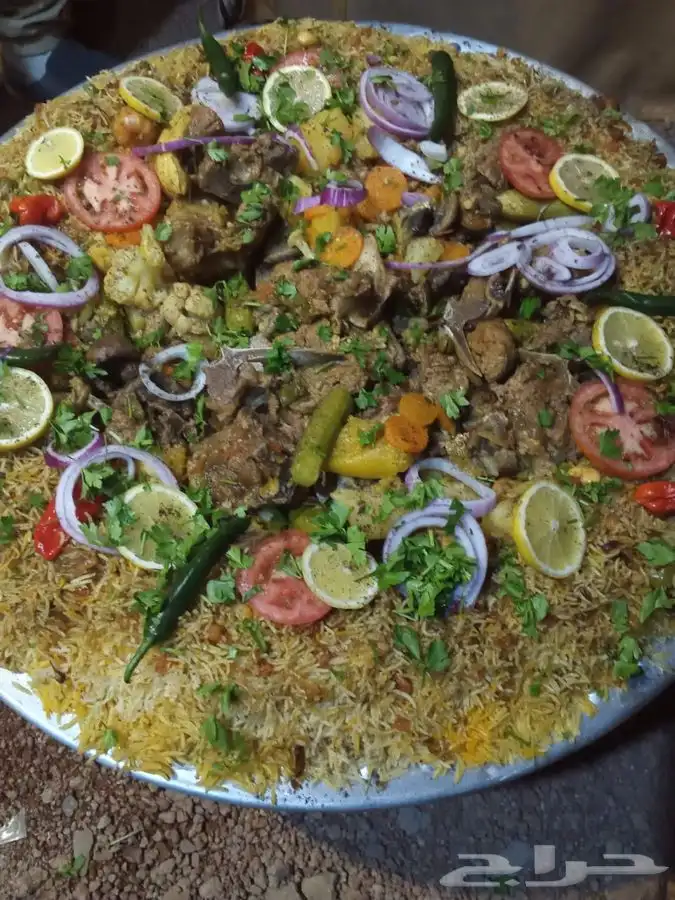 تجهيز رحلات بريه بحايل 64