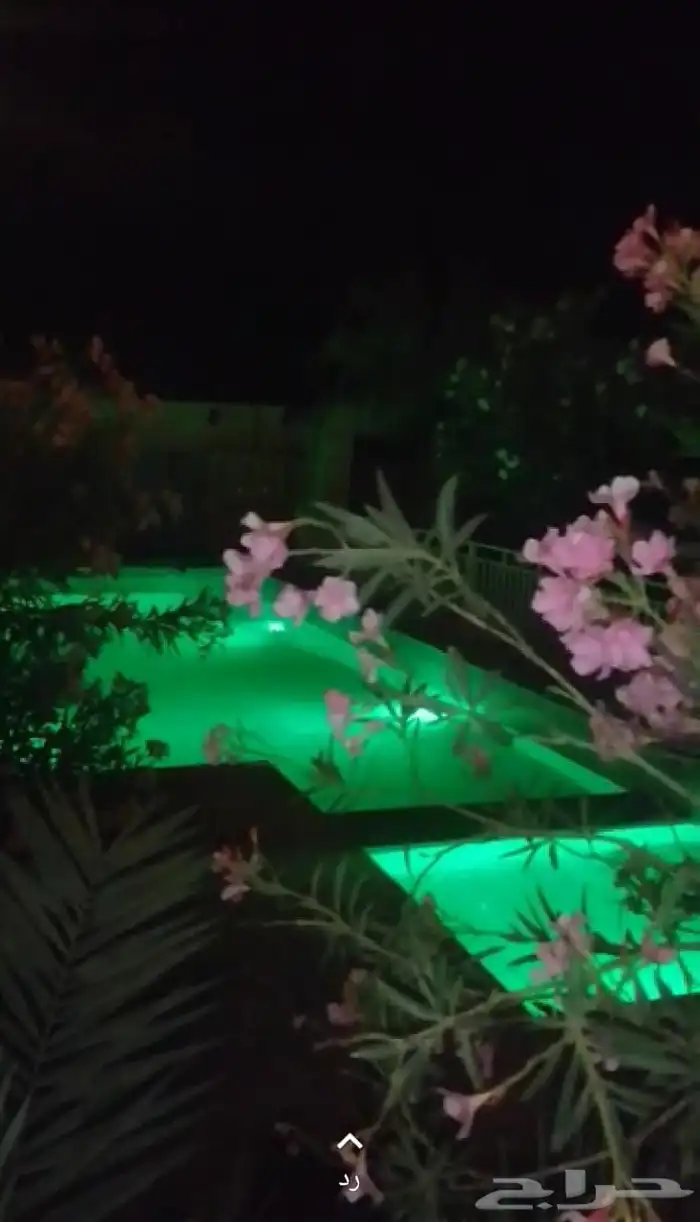 مزرعه واستراحه عبق البيلسان 0