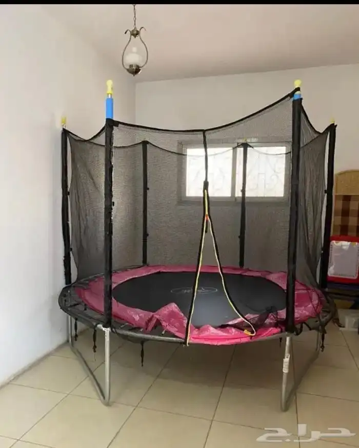 كنب بنفسجي ونطيطة 1