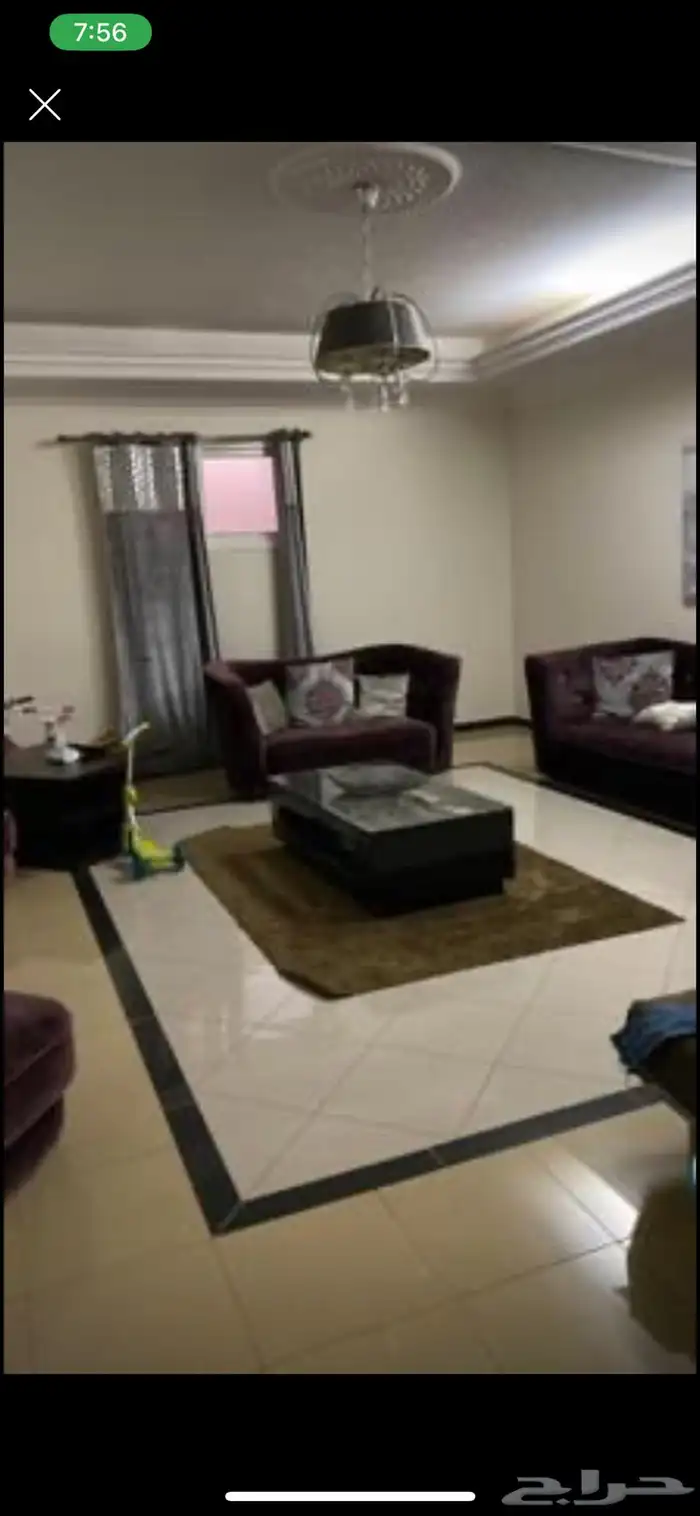 كنب بنفسجي ونطيطة 4