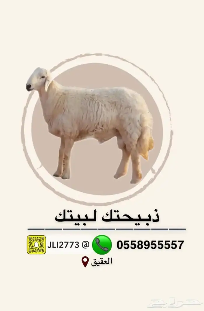 ذبايح جاهزه الى بيتك 12