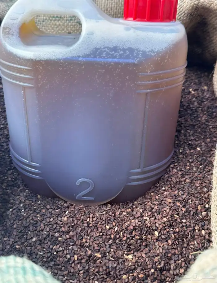 زيت السمسم البلدي الجنوبي وزيت القطران الصومل الاصلي 7