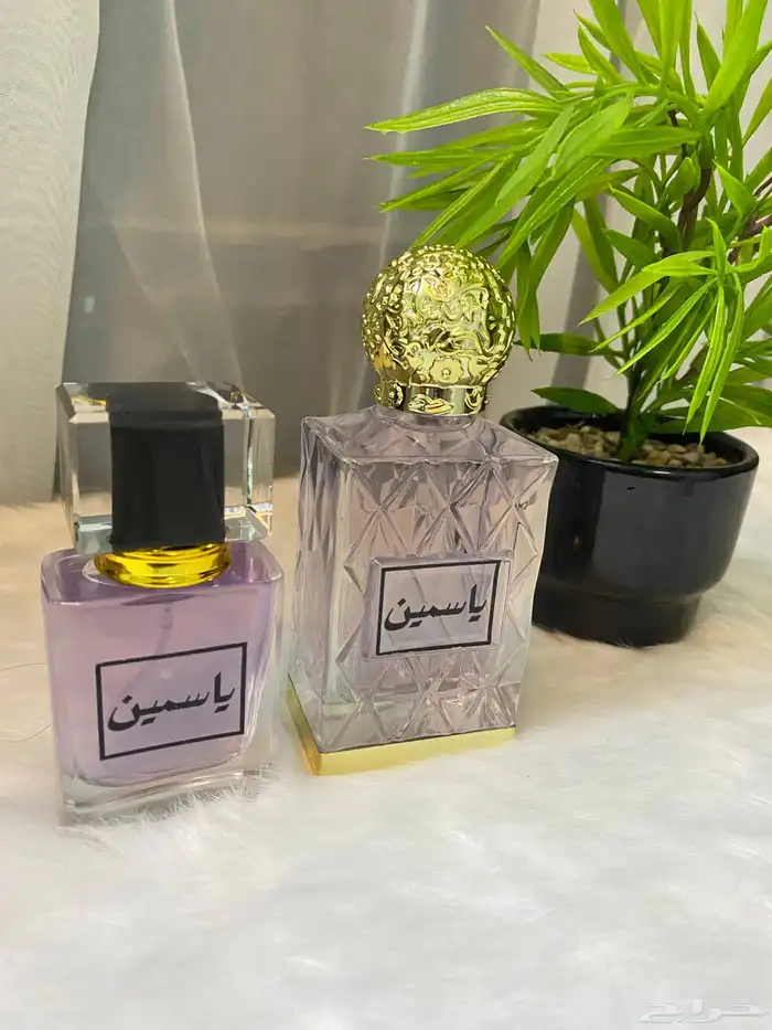 عروض اليوم الوطني 4