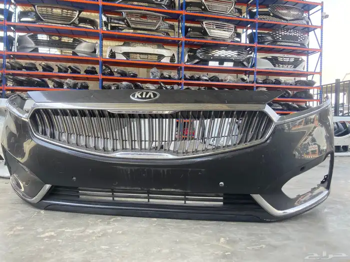 صدام كادينزا 2017-2018-2019-2020 0