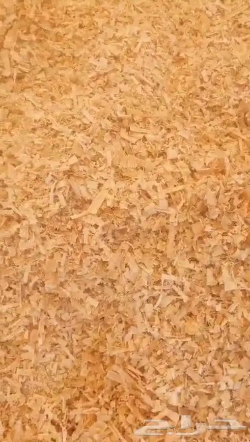 نشارة خشب نشارة خيل و نشارة دواجن 1