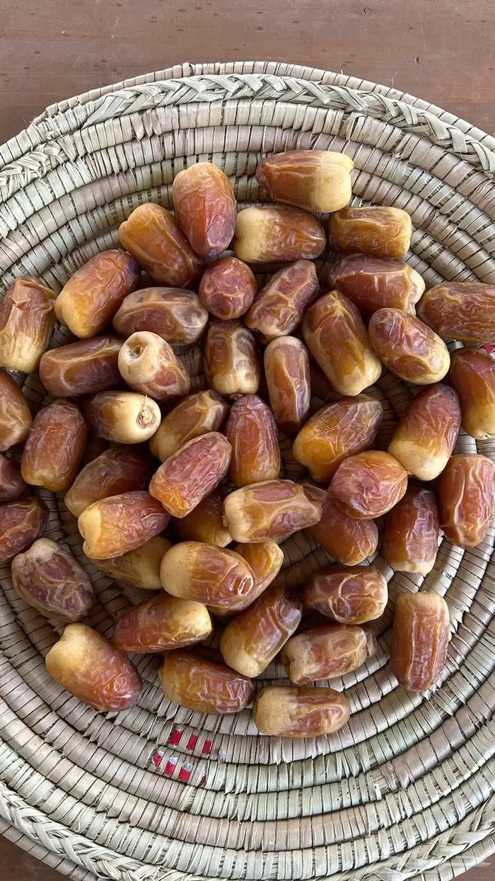 تمر صقعي طيب 2