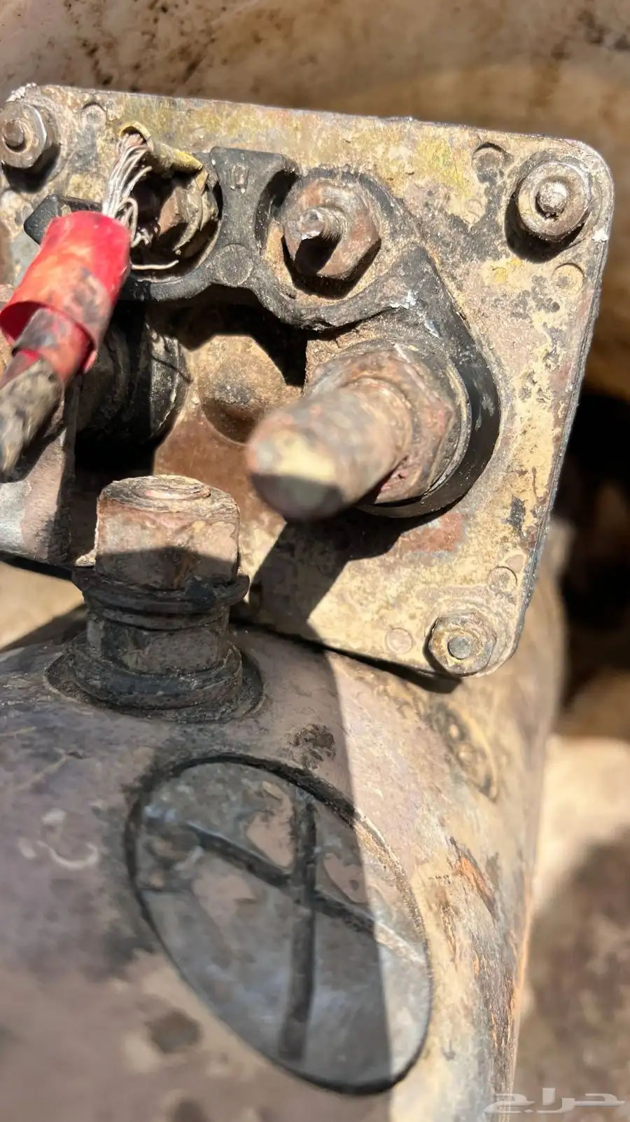 سلف شيول كبير 7