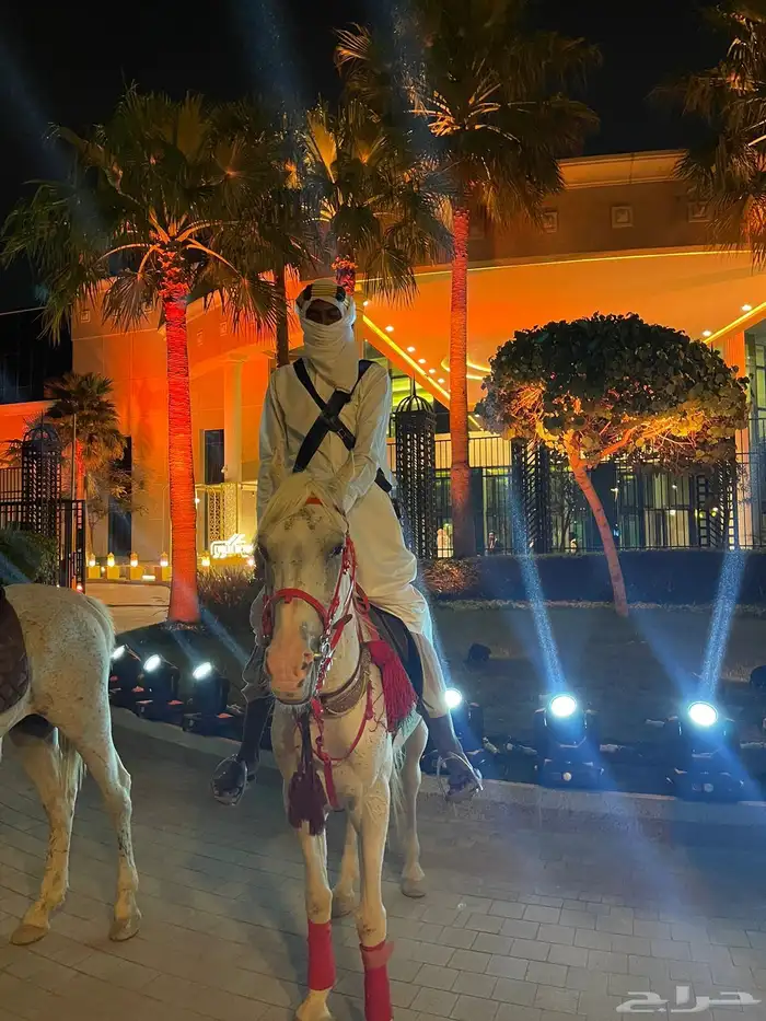استأجر خيول وجمال زينه 3